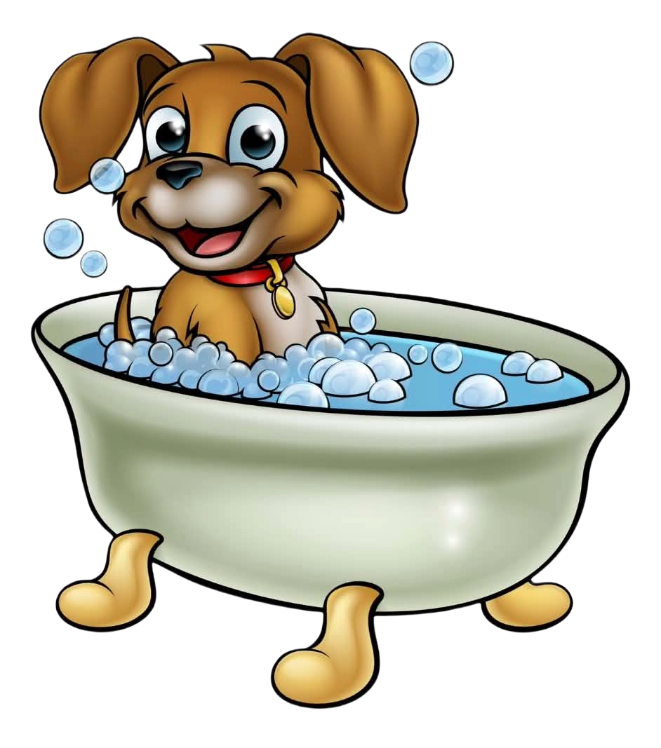 Bailey's Paws N Spa logo — cute dog in a bubble bath